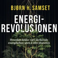 Energirevolusjonen