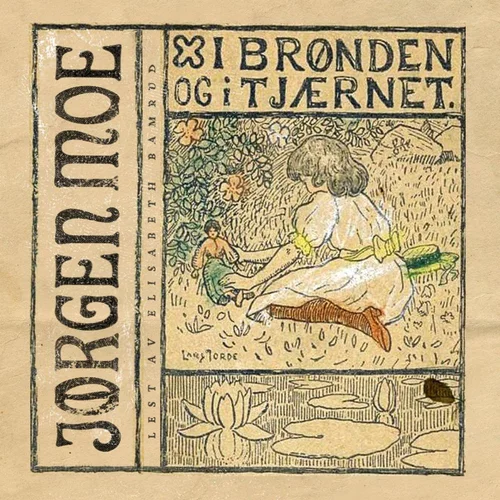 I brønden og i tjærnet