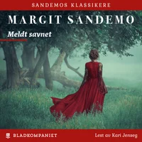 Meldt savnet