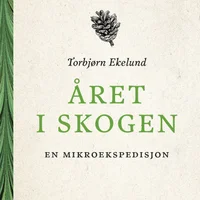 Året i skogen