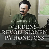 Verdensrevolusjonen på Hønefoss