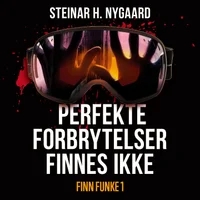 Perfekte forbrytelser finnes ikke