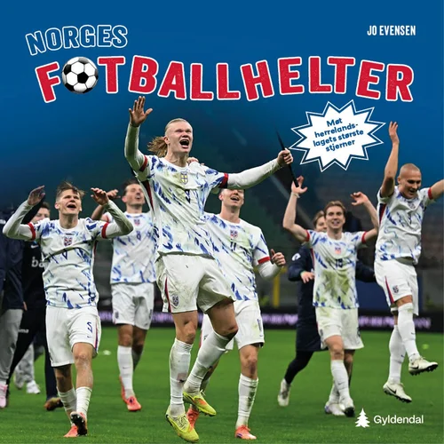 Norges fotballhelter