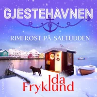 Rimfrost på Saltudden