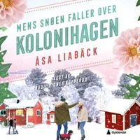 Mens snøen faller over kolonihagen