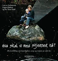 Hva skal vi med stjerner nå?