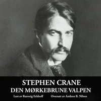 Den mørkebrune valpen
