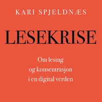 Lesekrise