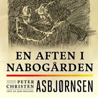 En aften i nabogården