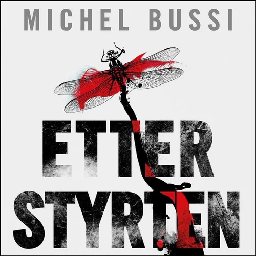 Etter styrten