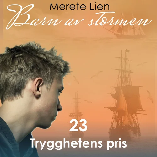Trygghetens pris