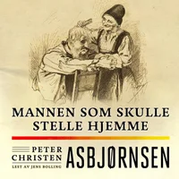 Mannen som skulle stelle hjemme