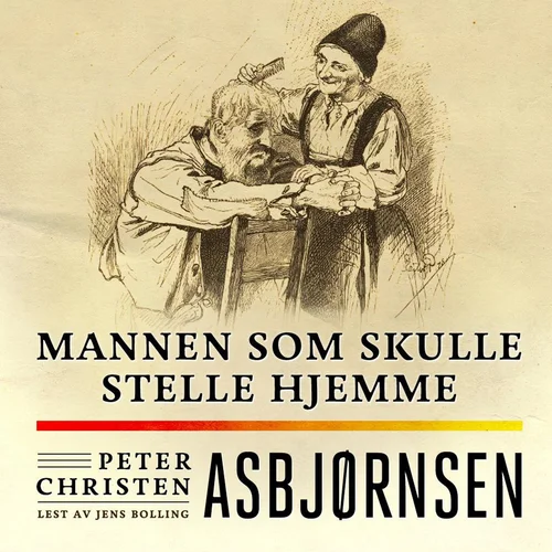 Mannen som skulle stelle hjemme