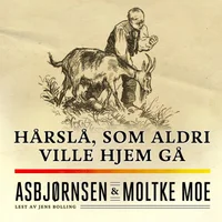 Hårslå, som aldri ville hjem gå
