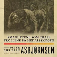 Småguttene som traff trollene på Hedalsskogen