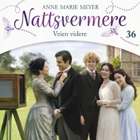 Veien videre