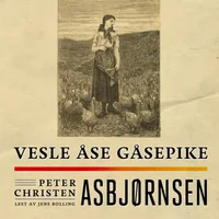 Vesle Åse gåsepike