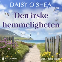 Den irske hemmeligheten