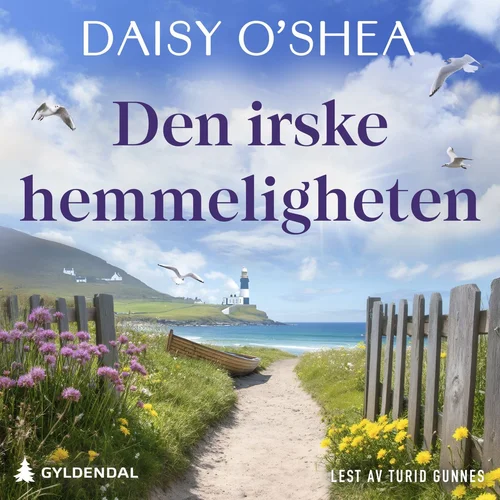 Den irske hemmeligheten