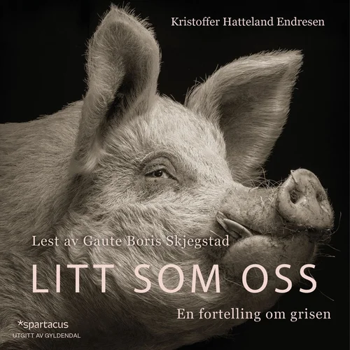 Litt som oss