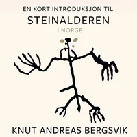 En kort introduksjon til steinalderen i Norge