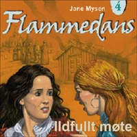 Ildfullt møte