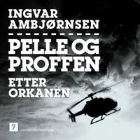 Etter orkanen