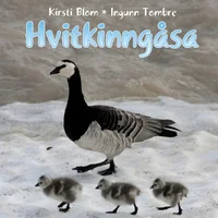 Hvitkinngåsa