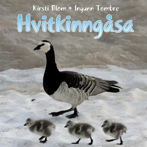 Hvitkinngåsa