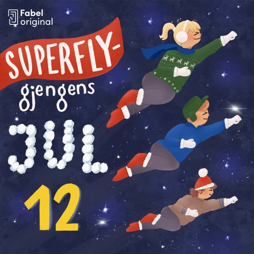 12. desember