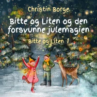 Bitte og Liten og den forsvunne julemagien