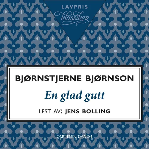 En glad gutt