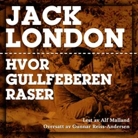 Hvor gullfeberen raser