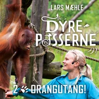 Orangutang!