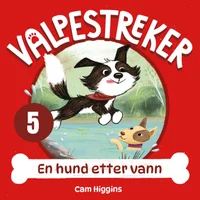 En hund etter vann