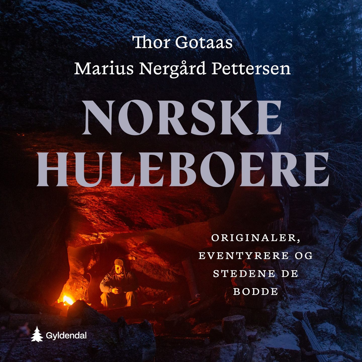 Norske huleboere