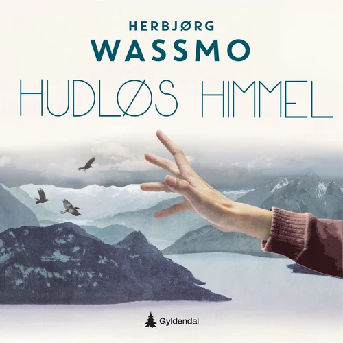 Hudløs himmel