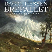 Brefallet