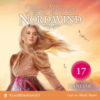 Banesår