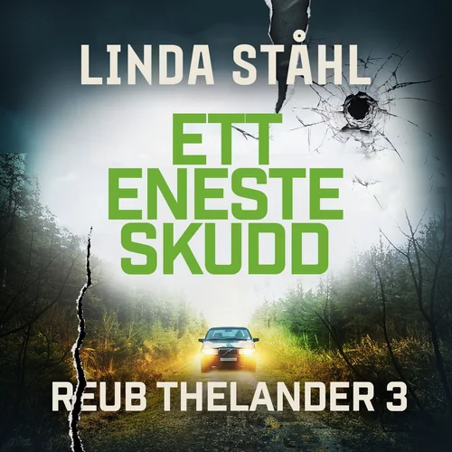 Ett eneste skudd
