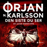 Den siste du ser