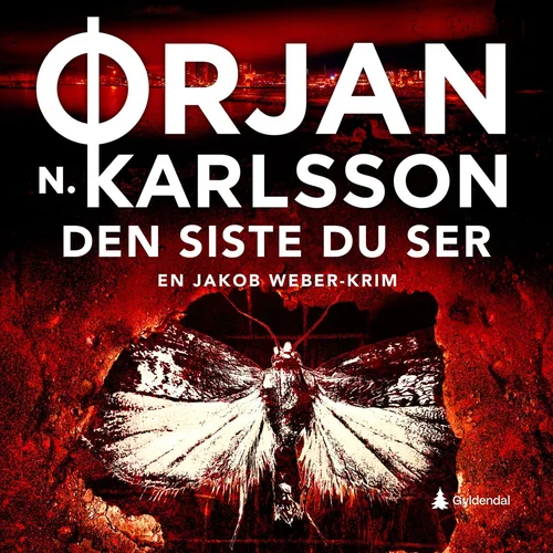 Den siste du ser
