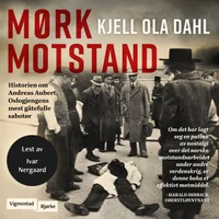 Mørk motstand