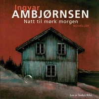 Natt til mørk morgen