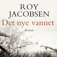 Det nye vannet