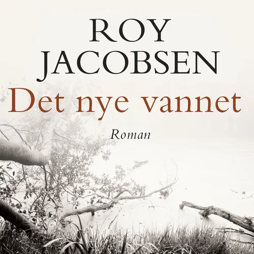 Det nye vannet