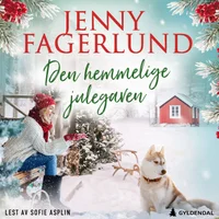 Den hemmelige julegaven