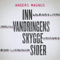 Innvandringens skyggesider