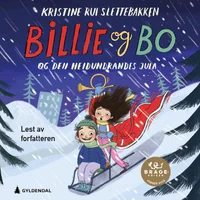 Billie og Bo og den heidundrandes jula