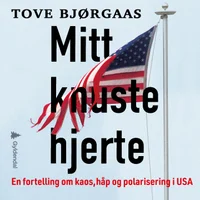 Mitt knuste hjerte